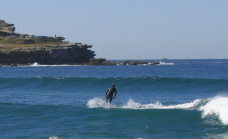 Surfer at Bondi