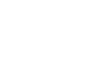 woodpecker,
flicker, 
squirrel