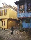 bursa