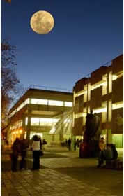 Macquarie Library at Night