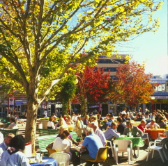 Busy Park in Canberra