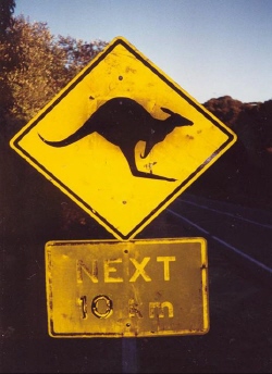 Kangaroo Crossing Sign
