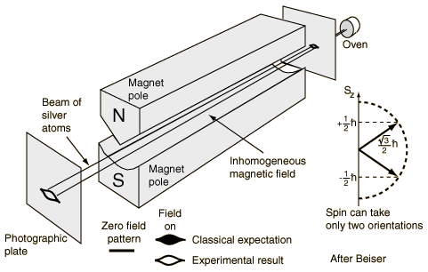 QM3D/steger2.gif (14998
bytes)