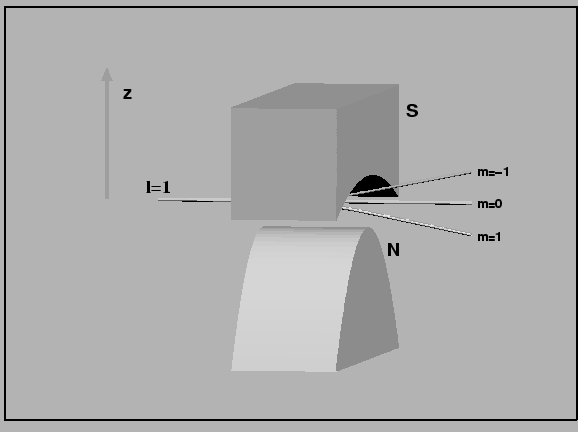 QM3D/sterngerlach1.gif
(5920 bytes)