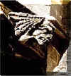 detalle