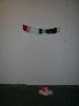dscn5561