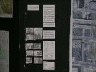 dscn5436